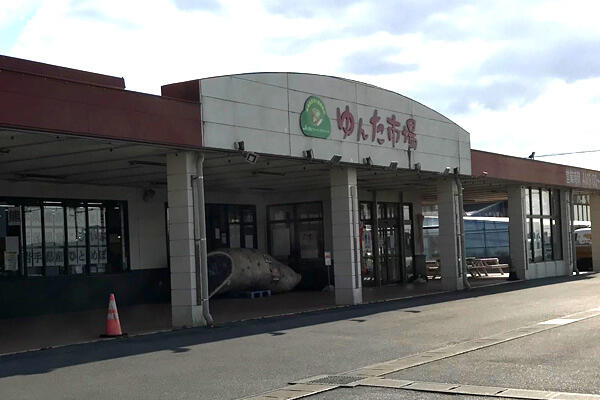 ゆんた市場