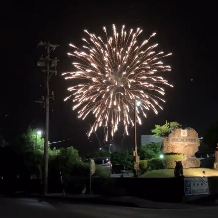 夜空を鮮やかに彩る花火