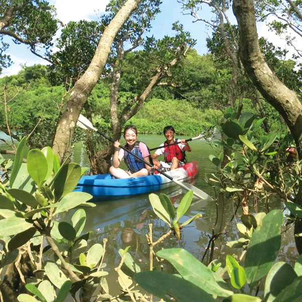 マングローブカヤック